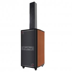 Big Power Active Linear Array Speaker Dual 10 Inch 200W Wood Bass Drive Unit Speaker