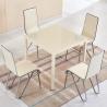 Stylish Glass Top Dining Room Table , Tempered Glass Top Dinette Sets square