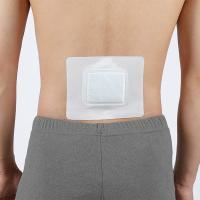 China ISO Back Pain Heat Patch Herbal Health Care For Neck Knee Joint on sale