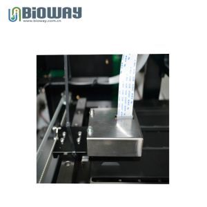 China Full Automatic Urine Analyzer,Dry Chemistry Urine AnalyzerBW-901,Urine analysis,  Urobilinogen (UBG) Bilirubin (BIL) wholesale