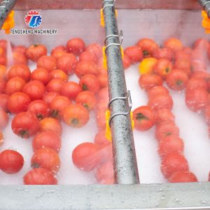 China Potatoes and round tuber crops Carrots and longitudinal root vegetables Onions Ginger Carrot Taro Sweet potato Yam Potato Saiko persimmon Parallel Brush Machine Wash Washer Washing Cleaning wholesale