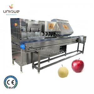 Customized Voltage 304 Stainless Steel Apple and Pear Peeling and Coring Cutting Machine