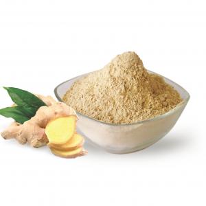 China Dehydrated Dried Organic Ginger Root Powder 10% Moisture supplier