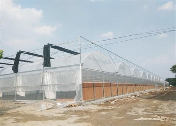 Film / NFT Cover Material Plastic Film Greenhouse Good Insulation Performance