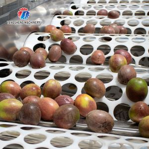 果物 オレンジ 野菜 サイコ パシモン レモン マンダリン パッション 果物 アボカド チェリー マンゴー 梨 マンゴスタイン キウイ 果物加工 生産 検査 分類 選別機