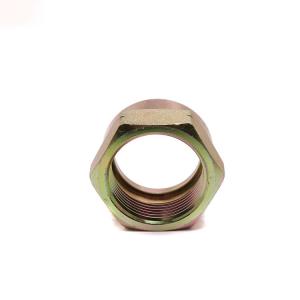 China Pipe Fitting Hex Nut Tube Insert Pipe Thread Nut Pipe Thread Tube Nut supplier