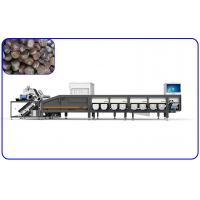 China Chestnuts Intelligent Agriculture Grading Machine 16 Channels For Large Capacity on sale