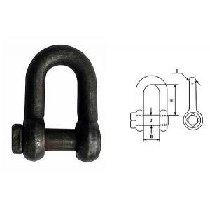 China G2131 Hoist Accessories Towing Screw Pin Anchor Shackle supplier