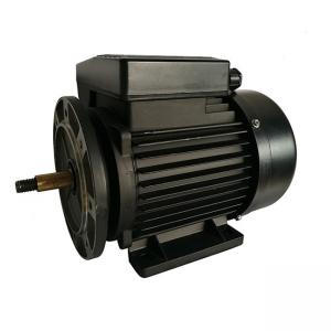 China 0.75HP IE1 Single Phase Electric Motor High Reliability Swimming Pool Pump supplier