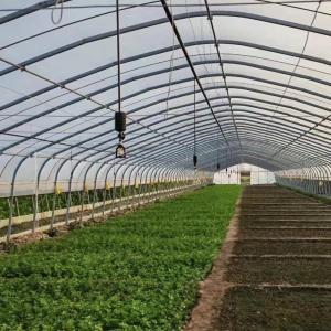 JX-A0078 Large Film Solar Greenhouses Steel Structure Single Span Tunnel Greenhouse