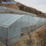 Agricultural Plastic Sheeting Greenhouse With Hot Galvanized Steel Framework