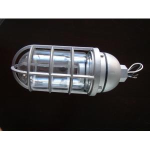 Explosionproof Die-Cast Aluminum  Vapor Proof Lights, Vapor Proof Lighting Fixture (BV)