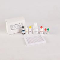 China RUO HBcAb Elisa kit on sale