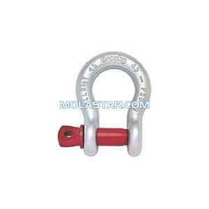 Marine Hardware Stainless Steel Security Bolt Type Anchor Shackle With Galvanized  European Type Large Bow Shackle