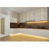 Modern Design MDF MDF Kitchen Cabinets Customized Style Furniture Environmentall
