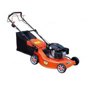China 6 HP Cylinder Petrol Lawn Mower Garden Portable Lawn Mower With B&S or Honda Engine supplier
