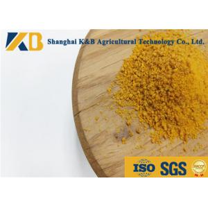 China 10% Moisture Dried Corn Non Gmo Protein Powder Promotes Lipid Metabolism supplier