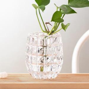 O vidro da decoração da casa da forma do ovo engarrafa a máquina 520ml fez Mini Clear Glass Vases