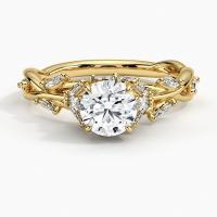 China Secret Garden Diamond Engagement Ring  For Women Or Girls on sale