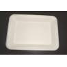 Disposable sugarcane pulp fruit or food plate use in Mircowave or Oven