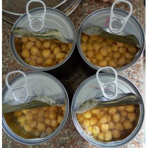 Mild Taste Chickpeas Canned Garbanzo Beans Extremely Versatile Ingredient