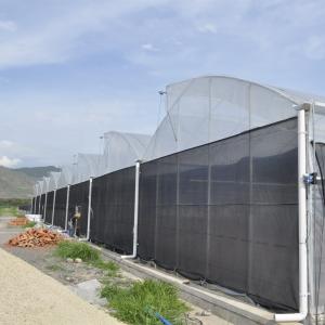Industrial Sawtooth Plastic Film Greenhouses 3.0m-6.0m Gutter Flower Farm Greenhouse