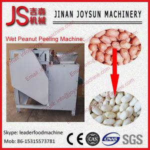China 2015 hot peanut wet peeling machine almond peeler pine nut skinner supplier