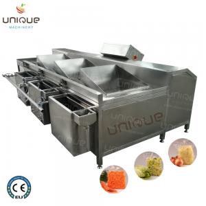 Sand Blasting Surface Fruit and Vegetable Batch Washer for Style Salad Washing Machine