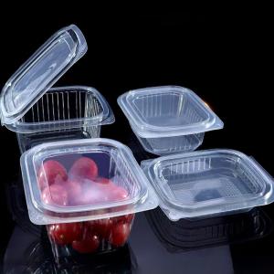 China Caja de bisagra de plástico PET rectangular transparente desechable de fábrica personalizada, termoformada al vacío, con tapa plana para salsa, frutas y verduras, pudín supplier
