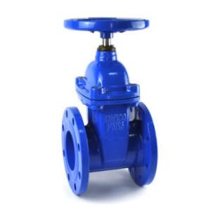 China Soft Sealing Vulcanzied Valve Seat Of Resilient Seated Gate Valve supplier