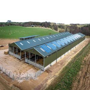 China Multi Colored Prefab Steel Structure Poultry Shed Large Span Environmental Friendly supplier
