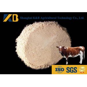 Non - Allergen Organic Brown Rice Protein Powder / Raw Rice Protein Yellowish Color