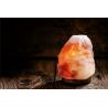 Large Himalayan Salt Lamp Organic Material , Pink Crystal Salt Rock Lamp Night