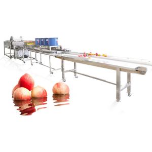 Hot selling Factory Price Wholesale Ozone And Ion Vegetable Washer by Huafood