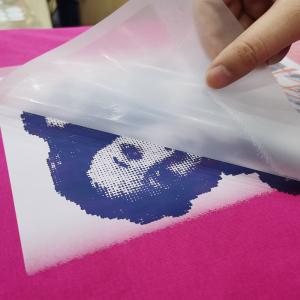 China Flexible 60cm 30cm DTF Printer Film Heat Transfer PET Sheets Paper supplier