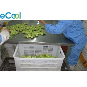 China Multi Function Vegetables Processing Cold Storage For Freezing Dry Product Line wholesale