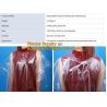 Disposable CPE plastic gown/Plastic coat Elastic cuff/Thumb Cuff,disposable