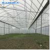 Multispan Sprinkler Irrigation 9m Agricultural Greenhouse Multi Span Greenhouse