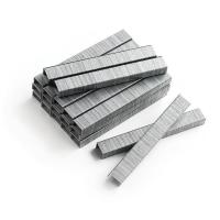 China 8mm Heavy Duty Staples 20GA 3/8 in Crown Leg T50 Galvanized Staples For Roofing on sale