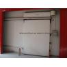 Standard Manual Sliding Door for Cold Room Freon Refrigerant and Customization Option