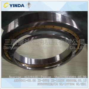 China 4G32844H Pinion Shaft Mud Pump Bearing AH36001-03.09 ZB-10236 NB800M.03.13 NU3036X2M/C4 9L-167334 9L-EB1 supplier