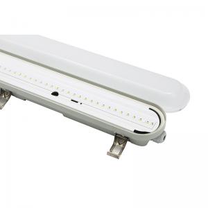 China 40W 60W 4FT IP65 Waterproof LED Light 120 Degree Angle Durable supplier