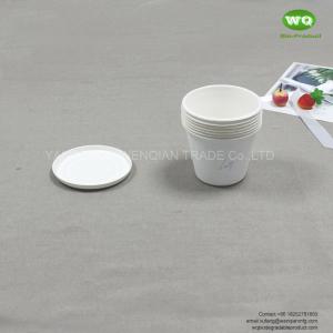 15oz(425ml) Biodegradable Bleached Sugarcane Bagasse  Cup With Lid -Easy Green Disposable use Compostable Drinking Cup