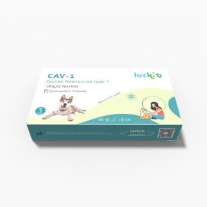 China Canineadenovirus Type 1 CAV-1 Pet Rapid Test DOG テストキット Class I Fast Reaction Rapid supplier
