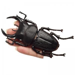 China Lifelike Model Simulation Insect Toy Nursery Teaching Aids Joke Toys For Kids supplier