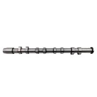 China 06F109102 Diesel Engine Camshaft Car Engine Components Fit For A4 A6 TT Model Product on sale