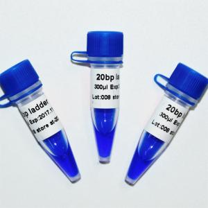 China 20bp Ladder DNA Marker Electrophoresis GDSBio Blue Appearance supplier