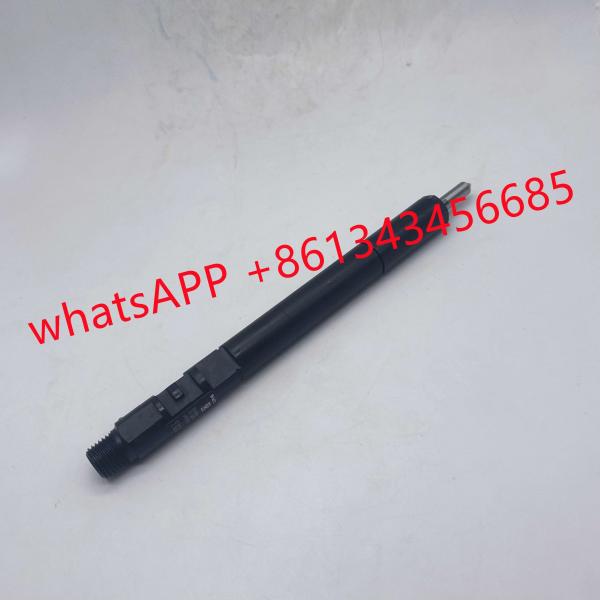 China D20DT EJBR04501D Delphi Fuel Injector wholesale
