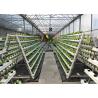 China Easy Maintenance Nutrient Film Technique System With Strong Adaptability wholesale