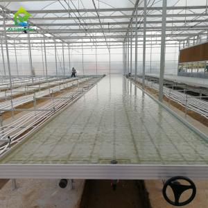 Movable Agriculture Hydroponic Rolling Benches 4x4 4x8 Flood And Drain Table